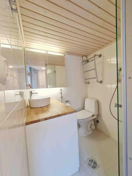 Stylish Studio In Downtown Helsinki Kültér fotó